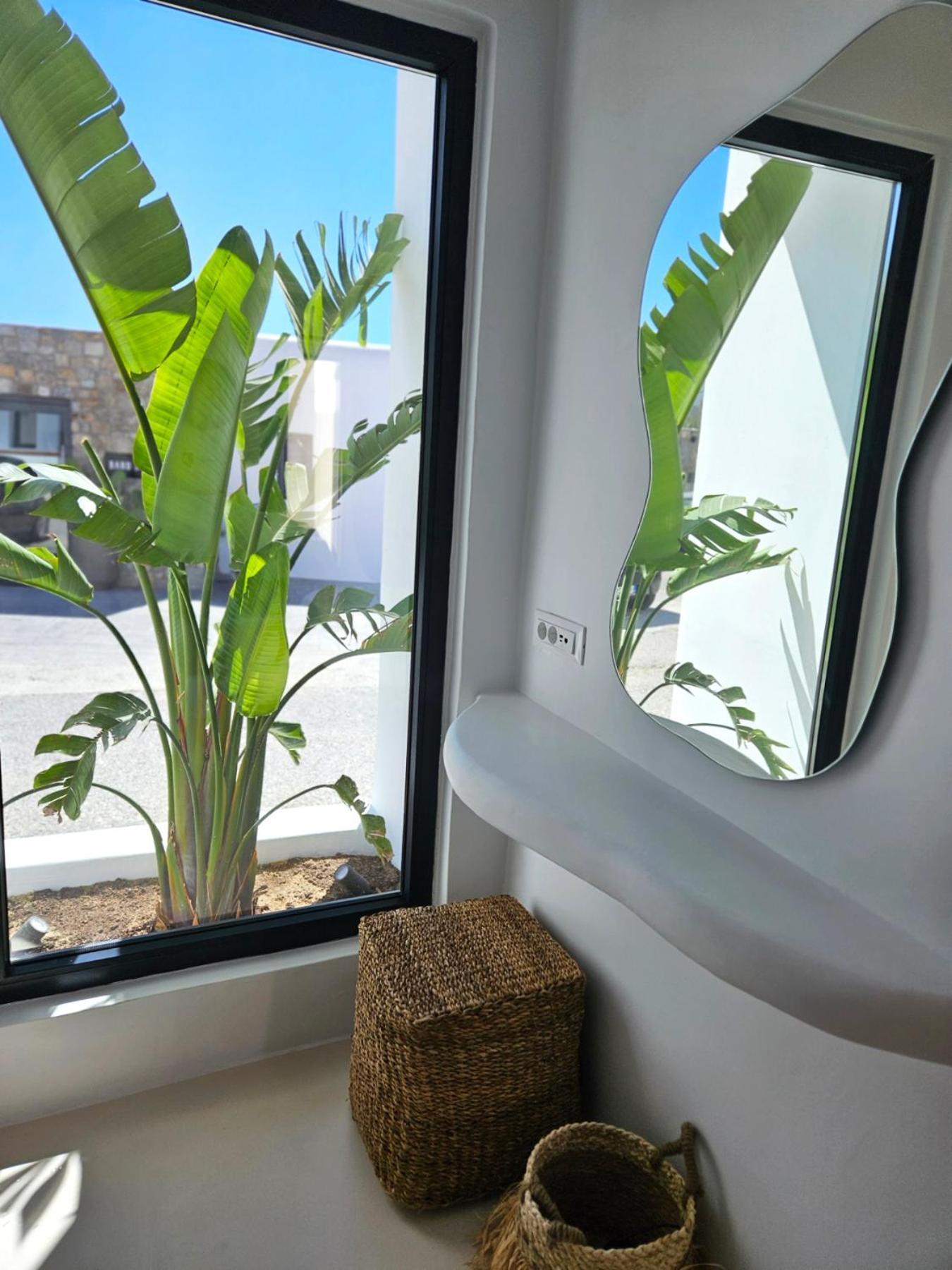 Elli Tropical Suites Mykonos Town Extérieur photo